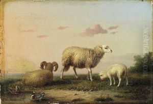 A Family Of Sheep
Oil On Panel by Franz van Severdonck