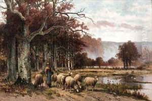 Sheep Grazing Under A Tree Sheep Grazing Under A Tree