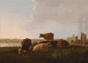 Lagerndes Vieh An Den Ufern Der Maas