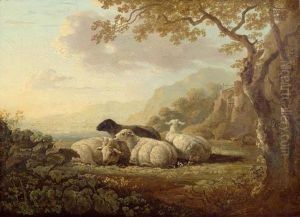 Sheep On The Meadow. by Jacob Van Stry