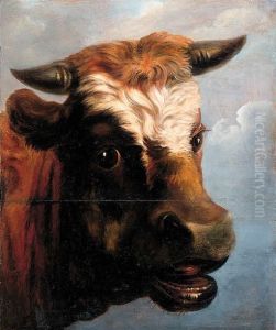 Head Of A Bull