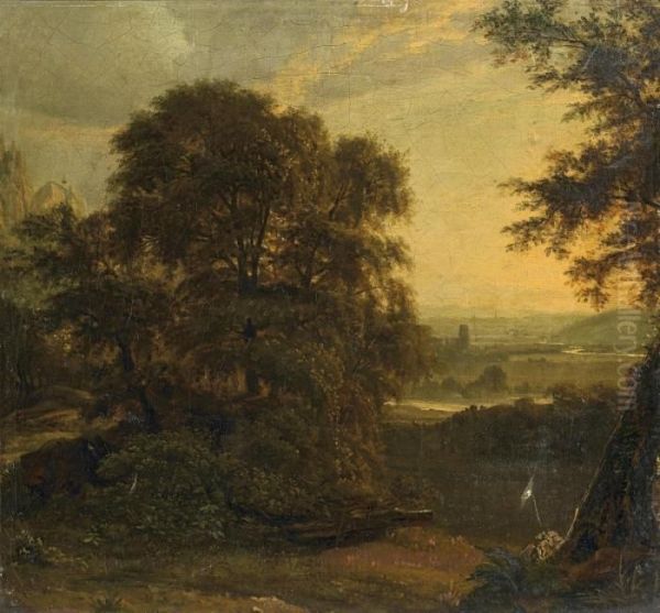 Bewaldete Landschaft - view 1