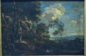 Paysage De Foret
