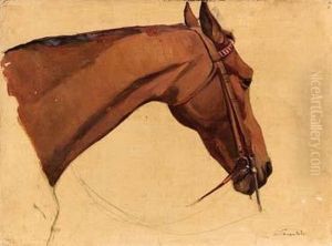 Testa Di Cavallo by Scipione Vannutelli