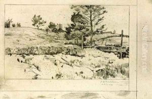 Branchville Fields by John Henry Twachtman