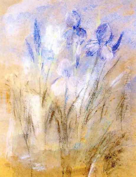 Irises - view 1