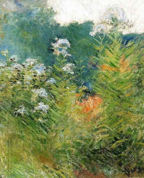 Wildflowers - view 1