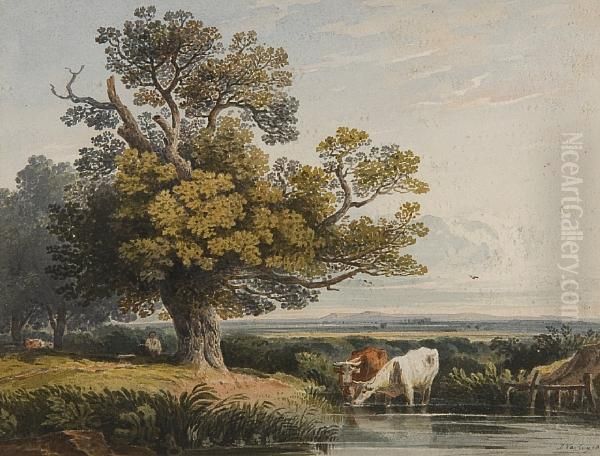 Cattle Watering In A Landscape - view 1