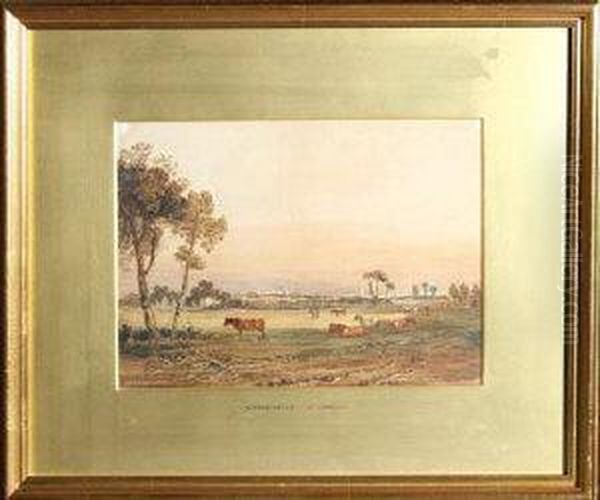 Charminster - view 1