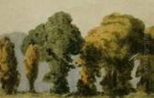 1842- Study Of Trees