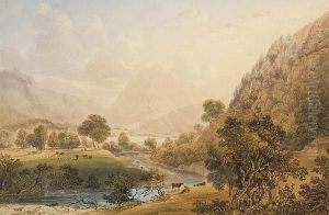 Extensive River Landscape With Cattle