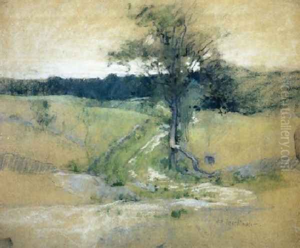 Tree By A Road - view 1