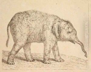 Elephant by Johann Heinrich Wilhelm Tischbein I