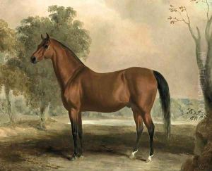 Bertrand, by Sir Archy 1830s