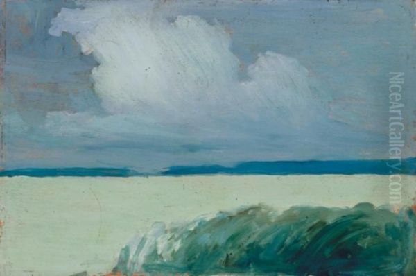 Lake Balaton With Reed-beds, About 1905 - view 1