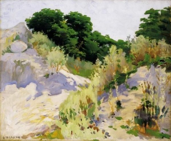 Sunlit Forest Fringe - view 1