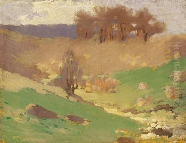 Hilly Landscape - view 1