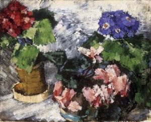 Still Life Of Cyclamens