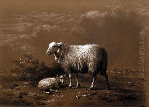 Study Of Sheep And Lamb - view 1