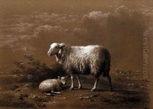 Study Of Sheep And Lamb