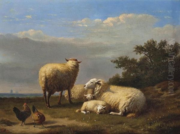 Sheep And Poultry In A Pasture - view 1