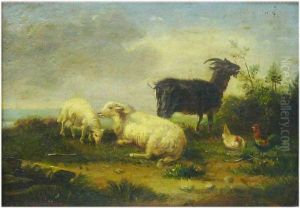 Moutons, Bouc, Poule Et Coq