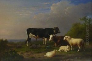 In The Meadow