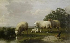 Sheep Grazing On A Riverbank