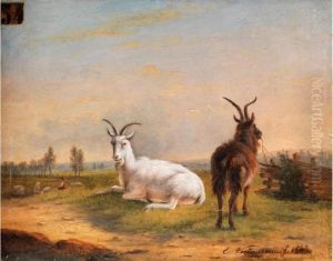Zwei Ziegen In Wiesenlandschaft
