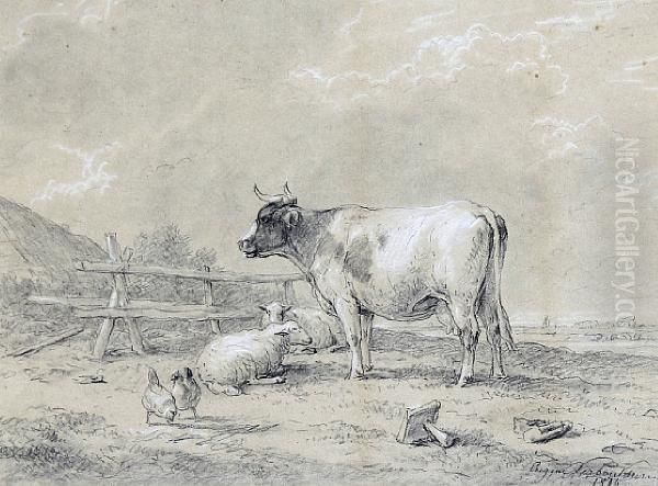 Cattle Resting In A Farmyard - view 1