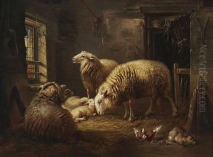 Schafe Und Lammer Im Stall.