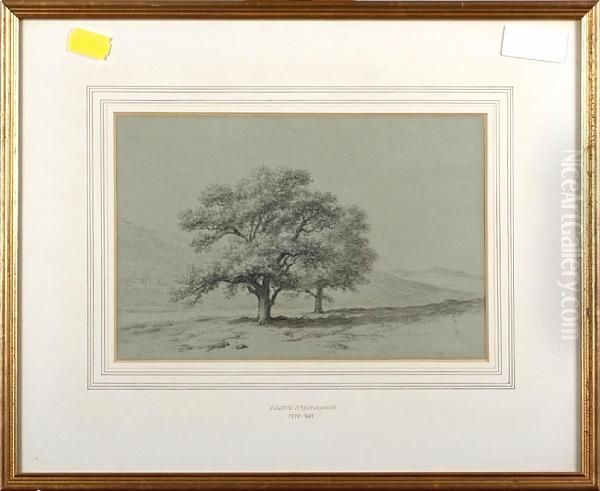 Trees - view 1