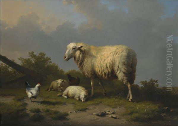 Sheep And Chickens At Pasture - view 1