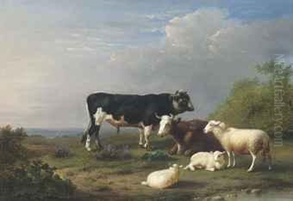 Livestock In Pasture - view 1