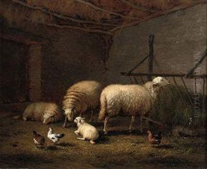 Sheep In The Stable
