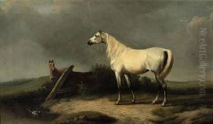 A White Mare And Her Foal