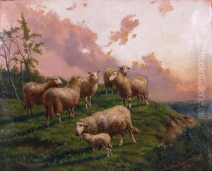 Sheep In A Pasture