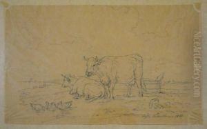 Vache