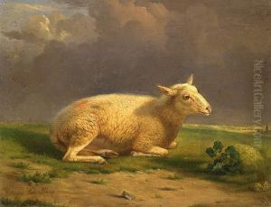 Ruhendes Schaf Vor Gewitterlandschaft