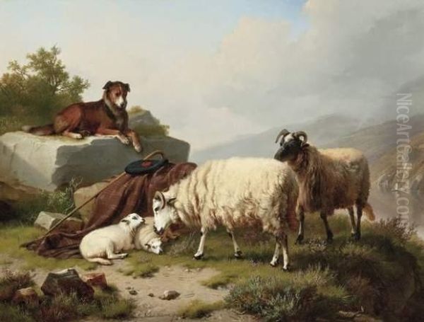 Moutons Et Chien De Berger - view 1