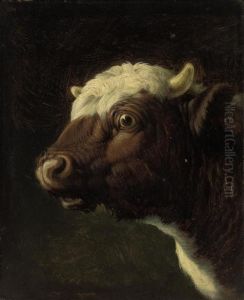 A Bull's Head by Eugene Joseph Verboeckhoven