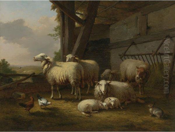 The Sheep Fold - view 1