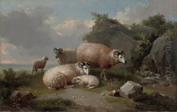 Sheep On A Rocky Coast - view 1