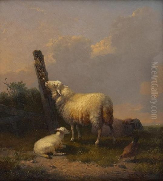 Brebis, Agneau Et Poule A La Barriere - view 1