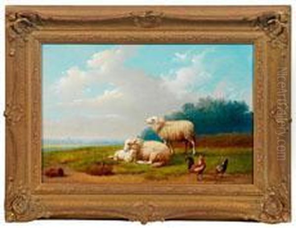 Schaffamilie Mit Huhnerpaar Auf Der Sommerlichen Weide - view 1