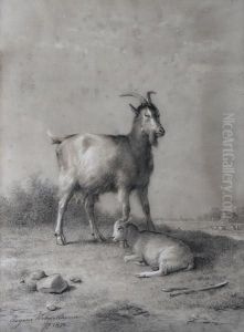 Goat And Kid Goat And Kid