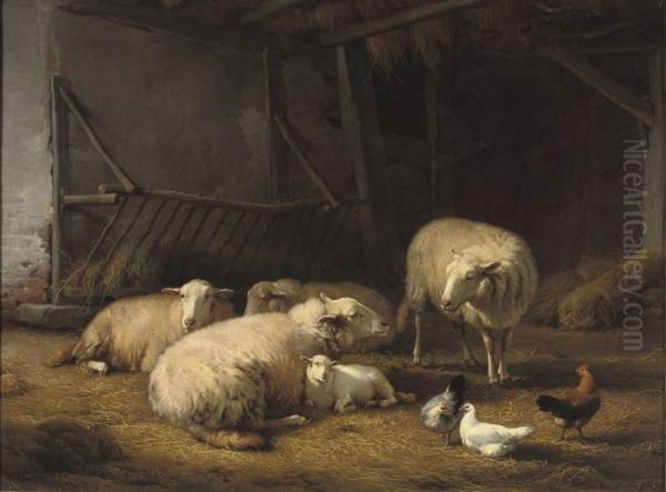 A Barn With Sheep And Chickens - view 1