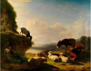 Schafe, Ziegen, Esel Und Kuh In Landschaft Schafe, Ziegen, Esel Und Kuh In Landschaft