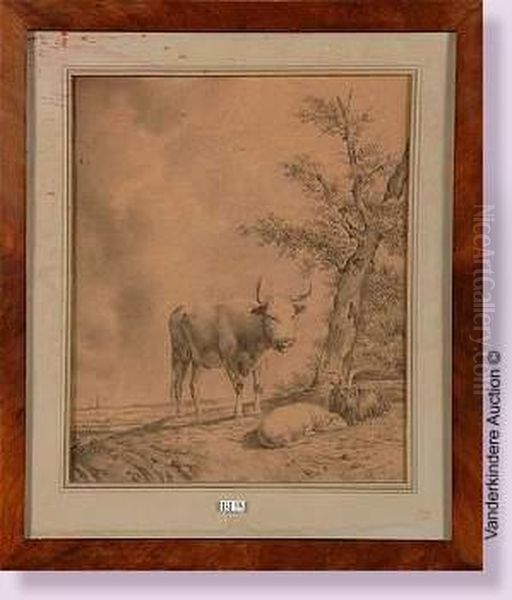 Vache - view 1