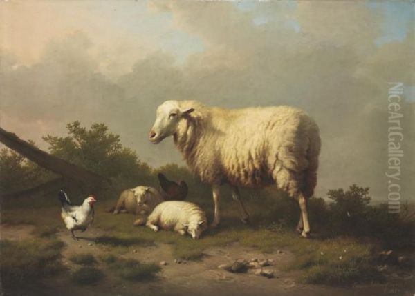 Sheep And Chickens In A Pasture - view 1
